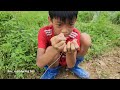 Bac's fishing technique: Using many rubber floats to tie fishing nets, harvesting giant stream fish.