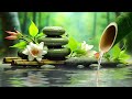 Relaxing Music for Sleep, Healing, Concentration, Calming Music, Meditation Music, Nature Sounds