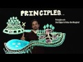 The Permaculture Principles