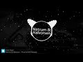 Netrum & Halvorsen - Phoenix  [NCS Release]