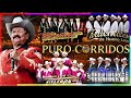 Puros Corridos Mix 2024⚡ Cardenales de Nuevo León,Rieleros Del Norte,Terribles Del Norte,Ramon Ayala