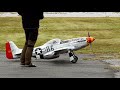 CARF P-51D Mustang | KOLM 150cc 3cyl | Skala Fyresdal 2020🤩✈️