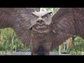 Walking Philadelphia Temple University College Campus SHOT IN 8K | A College in the HOOD!