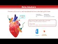What is a beta blocker? Mechanism of action. How beta blockers help the heart to work.