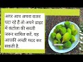 आयुर्वेद के अनुसार कंटोला खाने के ये जादुई फायदे हर किसी को पता होना चाहिए #healthbites