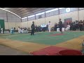 final kejurnas pencak silat kelas E unisda cup 2024