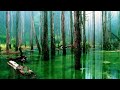 Peace Therapy Music Mix - Melodic Chill Out Psychill Entheogenic Downtempo Ethnic World