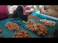 CARI IKAN LELE & CEMILAN DI PASAR TRADISIONAL PURBOLINGGO LAMPUNG TIMUR.