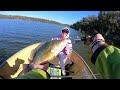 Cooby Dam Yellowbelly