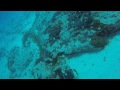 POV Diving - Palancar - Cozumel - México
