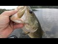 Don’t ever give up on the swimbait “bite”