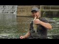 Bolo Fishing Basics | Catch On A River Using A Bolognese Float