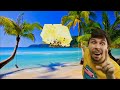 MrBeast Bombs an Island For Views!!!