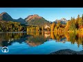 Great Mind Relaxing Music, Gentle Piano Music Helps Reduce Stress Very Effectively