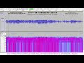 Listen to the Sasquatch sounds captured in in this Bigfoot audio recording 50 minutes after I left