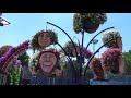 150 Million Flowers. Miracle Garden Dubai. A world of Floral Wonder. Virtual Tour.