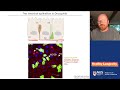 Stem cell ageing and rejuvenation | Prof Heinrich Jasper