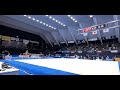 【NHK杯预赛】杉原爱子 自由操 单项第三