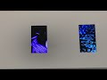 Multi screen Video Installation Digital Motion Art Specimens