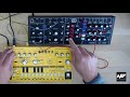 Behringer TD-3 (Yellow Edition) Filter In Option explained; feat. Behringer Model D with examples