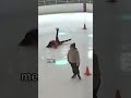 these falls hurt so bad😵‍💫 #figureskater #figureskating #iceskater #iceskating #fail #olympics