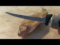 How to Fillet Fish - Freshwater