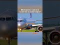 what would happen if you was suck in to a airplane