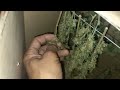 How I Harvest, Cure and Store my Weed (cardboard box method)