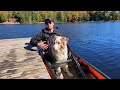 How to Train Your Dog for Canoeing