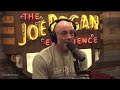 Rogan For Trump