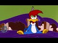 Woody Woodpecker | Woody Becomes a Race Car Driver + More Full Episodes