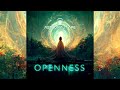 Astronaut Ape - Openness [Full Album]