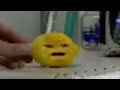 grandpa lemon