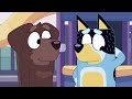 Dad's Café | Bluey