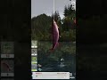 Let's go fishing in fishing club 3D