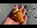 Looking for sea shells after a storm. Sanibel Island low-tide, post storm shelling.