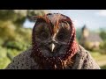 Award-Winning Stop-Motion Animation Short Film | Raymonde or the Vertical Escape