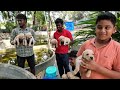 🔥 நீங்க எதிர்பார்க்காத விலையில் - All Breeds Puppies For Sales | Home Delivery Available