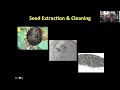 Seeds to Seedlings: Starting native plants from seed