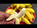 Three Year Bananas - Growing dwarf banana trees in your garden
