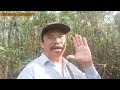 suka dan duka dapat 2 poin Tupai// menjebak tupai di Sibu Sarawak(ep.24)