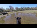Gibbes Farm XC Schooling - March 29, 2019
