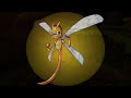 Spyro the Dragon - Episode 4: Heavy Metalhead - (Spyro TV Show Concept)