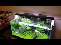 HOW TO:  Grow a Carpet in Your Aquarium Without Co2