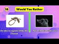 Would You Rather - Animal Edition 🦁🐯 | Fun Quiz Game!