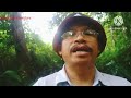 menyimak jebakan maut tupai di hutan Sibu Sarawak(episod 18)