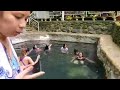 Cam Sur||Panicuason Hot Springs Resort