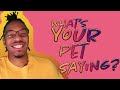 What’s Your Pet Saying? Episode 5 by RxCKSTxR