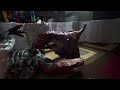 Spinosaurus vs Manospondylus | Dinosaur Tournament Arena [S1E14]