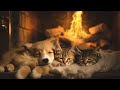 Calming cozy fireplace sounds with pest sleeping, relaixng msuic, ASMR sounds, sleep music, BGM